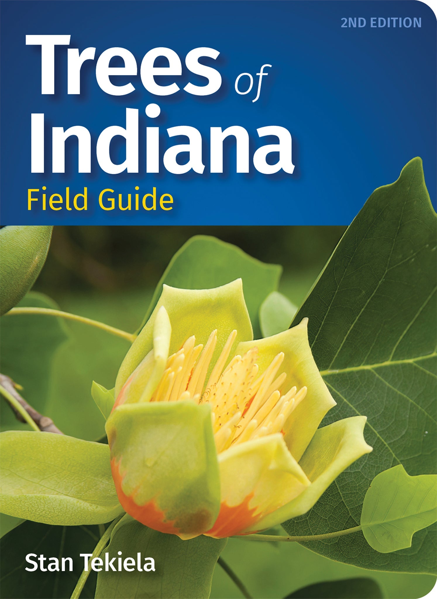 Cover image for Trees of Indiana Field Guide ISBN 9781647553814